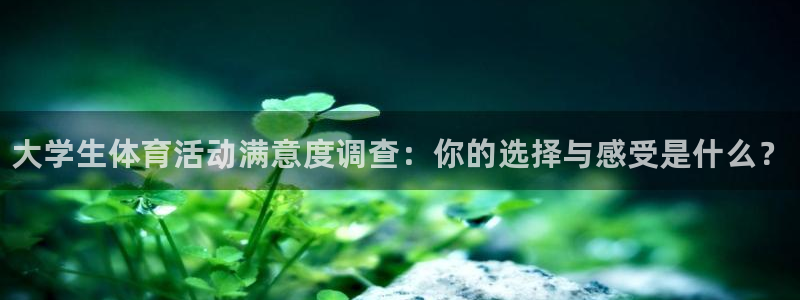 MK体育官网下载:大学生体育活动满意度调查:你的选择与感受是