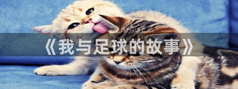 MK体育官网下载联系电话:《我与足球的故事》