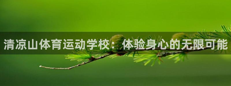 MK体育官方正版app娱乐首页网站大全:清凉山体育运动学校: