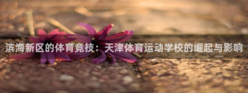 MK体育官网下载软件:滨海新区的体育竞技:天津体育运动学校的